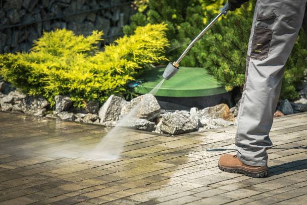 Best Sidewalk and Walkway Cleaning  in New Buffalo, MI