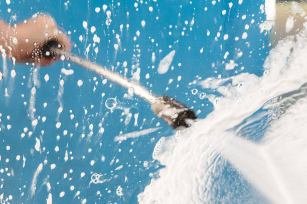 Best Animal Enclosure Cleaning  in New Buffalo, MI